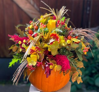 Autumn Pumpkin Party